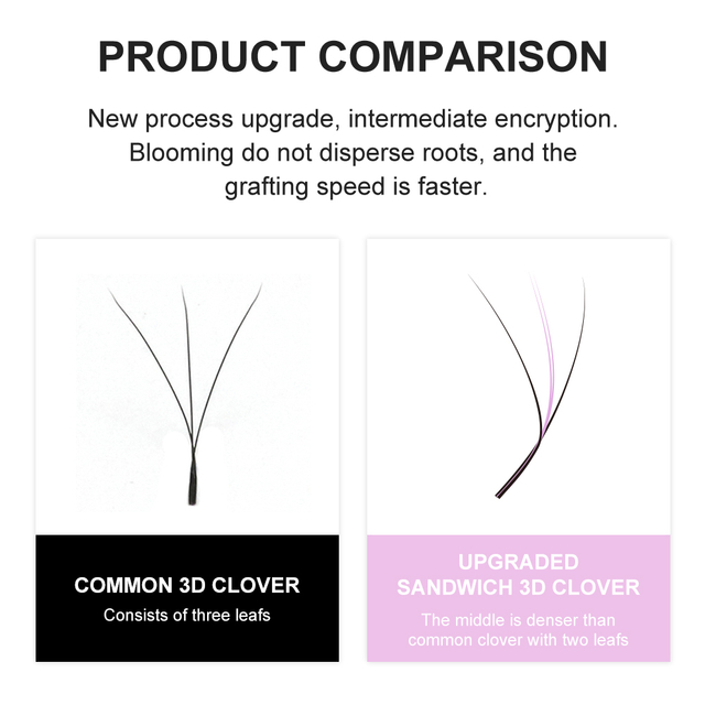 3D Color Clover Lash