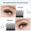 W Shaped Eyelash Extension