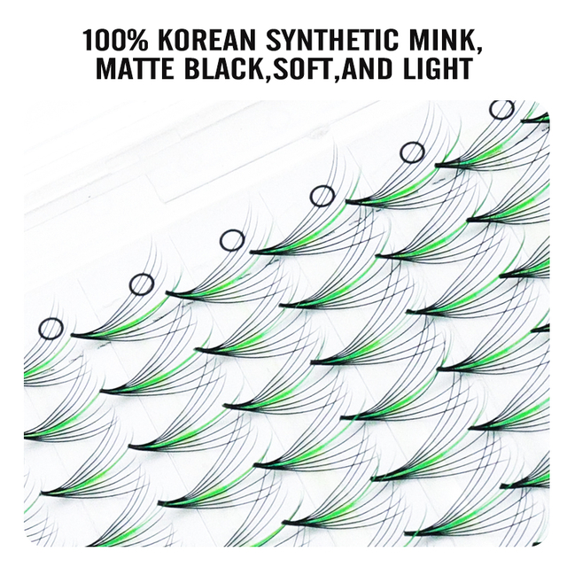 Wispy Lash Extensions