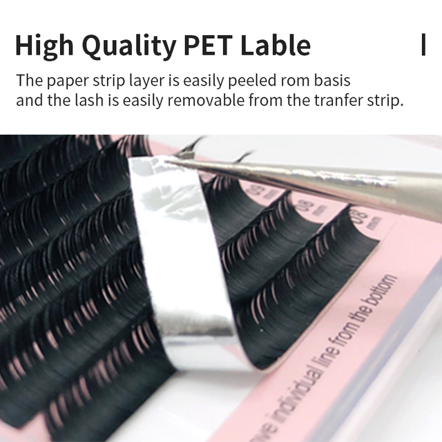 Matte Black Eyelash Extensions